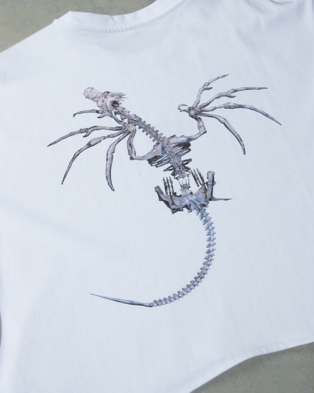VERTEBRAL DRAGON TEE
