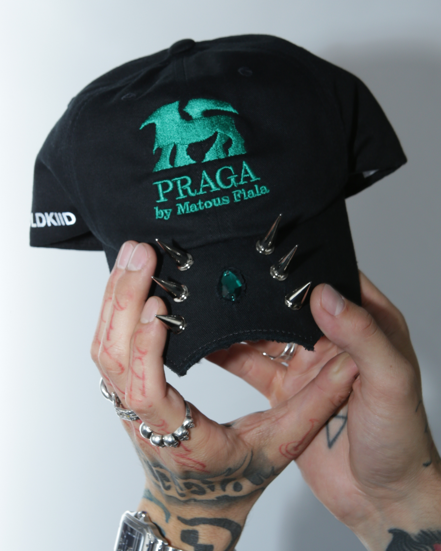 THE DESOLATE HOST TOUR CAP